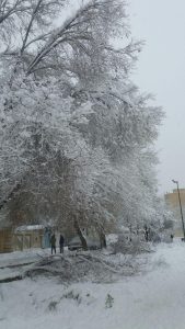 روز برفی منطقه 18 تهران