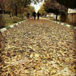 با پهن کردن برگهای خزان درختان بر محورهای مختلف، معابر مهم تبریز رنگ و روی پائیزی به خود گرفت