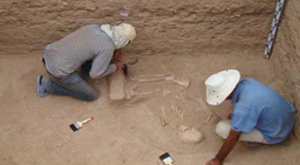 کشف زیست پیش از تاریخ در لایه زیرین تهران