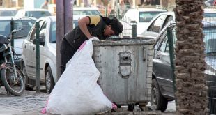 قرادادن بی‌موقع زباله‌ها خارج از منزل «زباله‌گردی» را افزایش می‌دهد