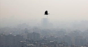پژوهشی کیفی در فقر فرهنگ ریسک و مخاطرات محیطی(شهر تهران)