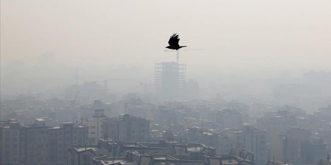پژوهشی کیفی در فقر فرهنگ ریسک و مخاطرات محیطی(شهر تهران)