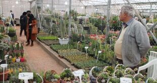 تلاش برای راه‌اندازی ۳ بازار گل و گیاه در سطح و پهنه‌های تهران