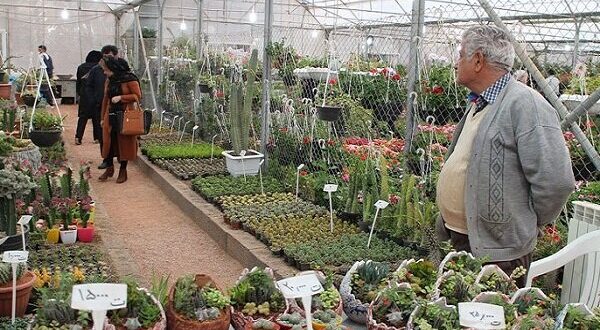 تلاش برای راه‌اندازی ۳ بازار گل و گیاه در سطح و پهنه‌های تهران