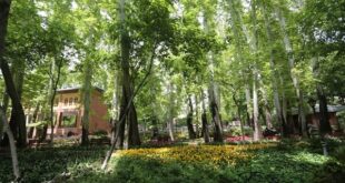 باغ گلاریس به‌زودی در اختیار شهروندان قرار می‌گیرد