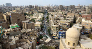 دنیای پنهان بر پشت‌بام قاهره