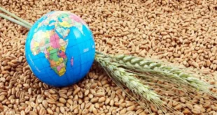 امنیت غذایی در گرو مهار تورم