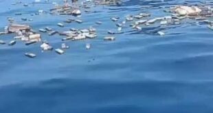 مهلت قانونی مالکان برای ترخیص کالاهای نجات‌یافته از آب‌های مرزی